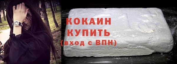 индика Абаза
