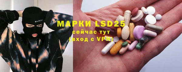 индика Абаза