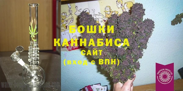индика Абаза