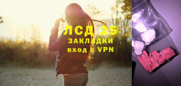 индика Абаза