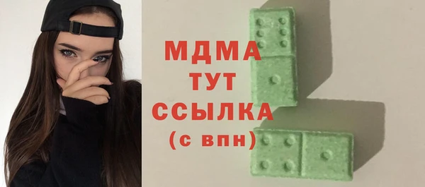 индика Новодвинск