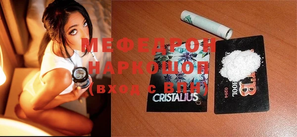 индика Абаза
