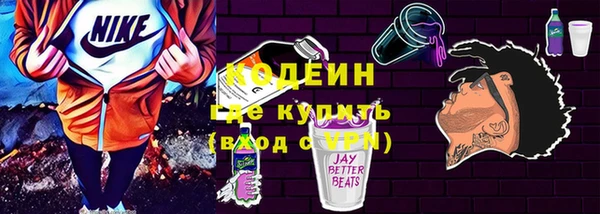 индика Абаза