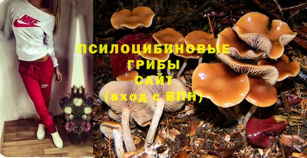 эйфоретик Абинск