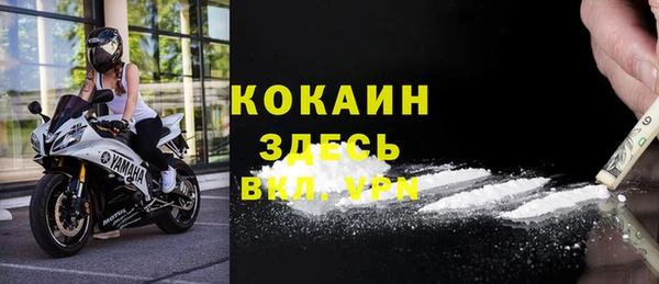 ГАЛЛЮЦИНОГЕННЫЕ ГРИБЫ Новозыбков