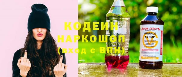 индика Абаза