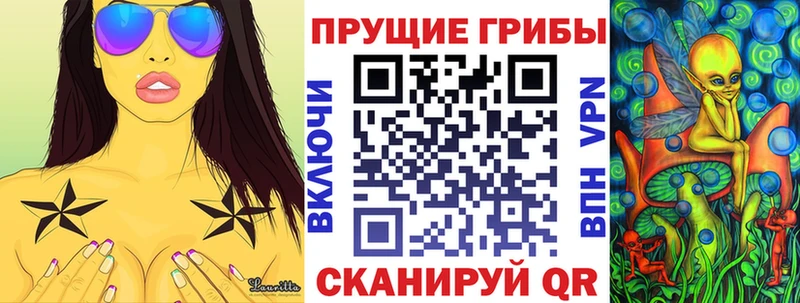 где купить наркоту  гидра ТОР  Псилоцибиновые грибы Cubensis  Отрадная 